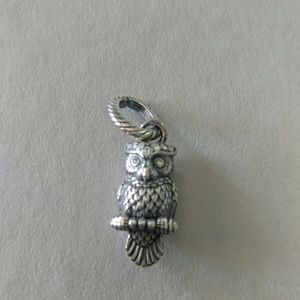 Wisdom Owl charm